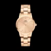 Femme Daniel Wellington Montre Iconic Link Unitone DW00100401